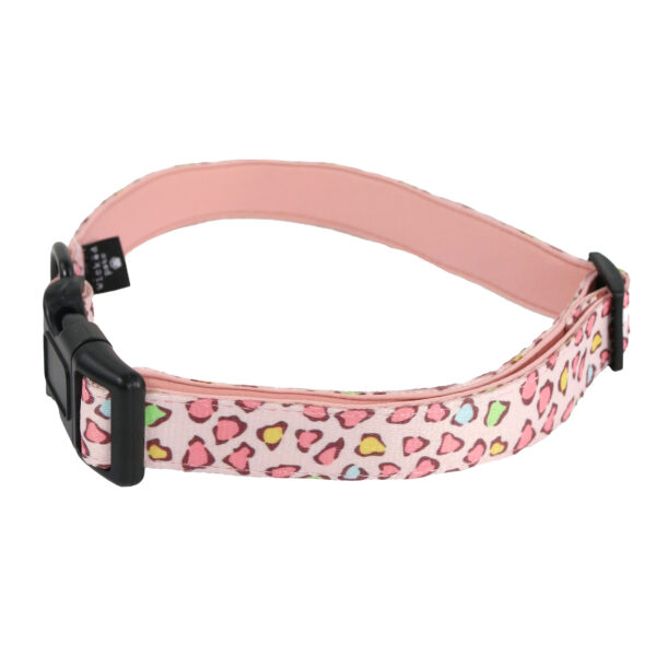 Animal print dog collar